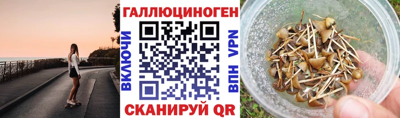 ОМГ ОМГ ссылка Заполярный Псилоцибиновые грибы Magic Shrooms